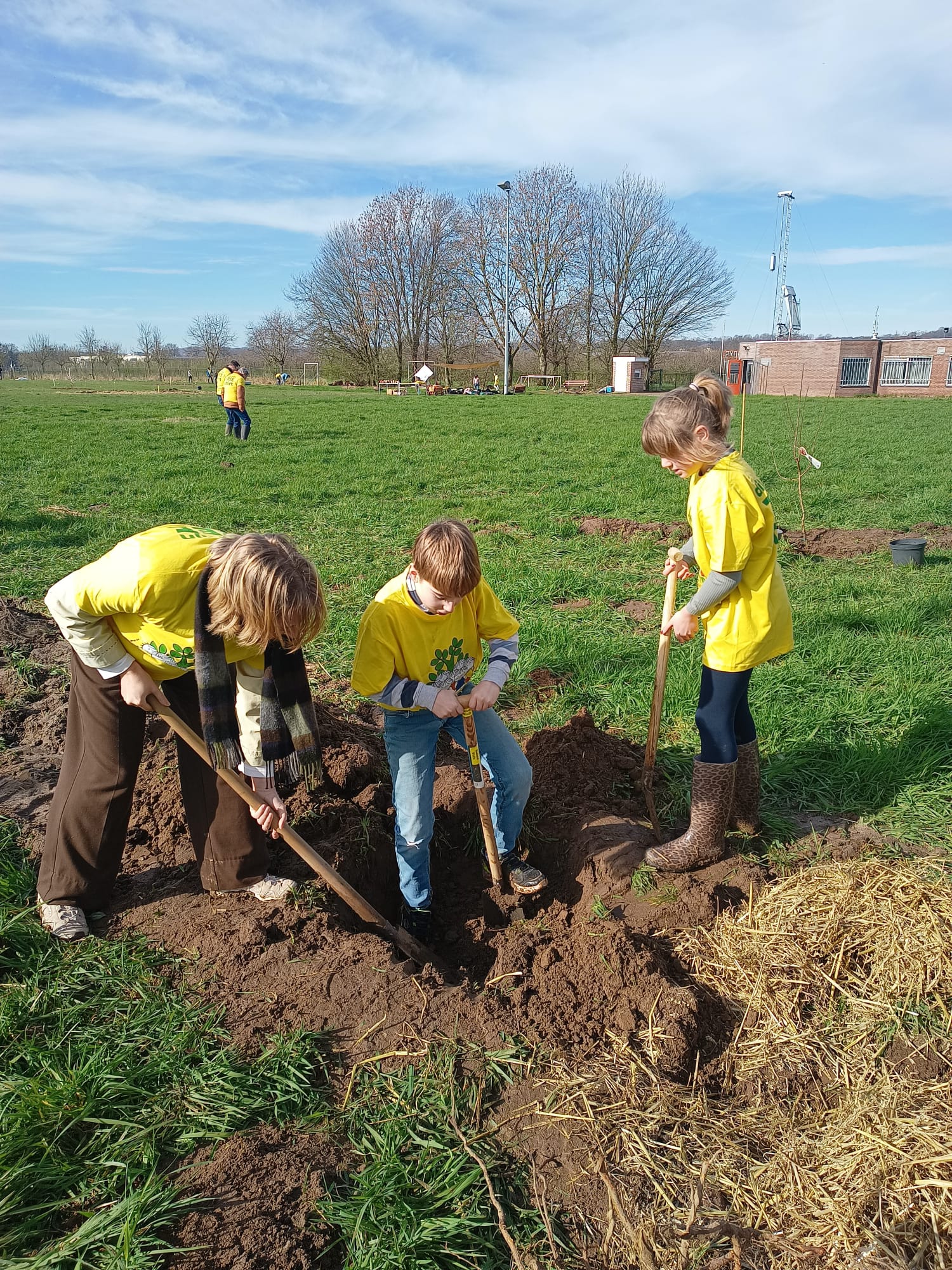Drie kinderen van basisschool Sint Jozef uit Oost-Maarland, gekleed in gele shirts en blauwe broeken, planten een boompje aan.